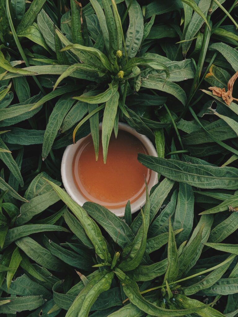 cup of tea in leaves