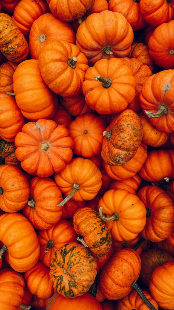 11 Most Nutritious Fruits pumpkin