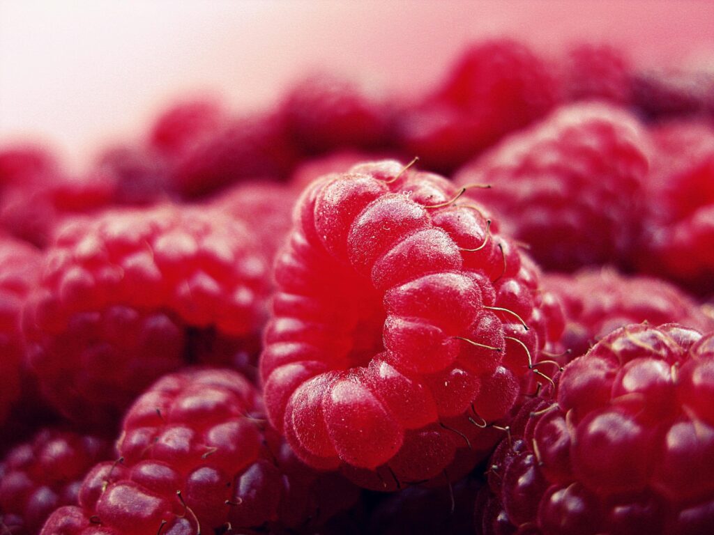 nutrient dense Fruits raspberry