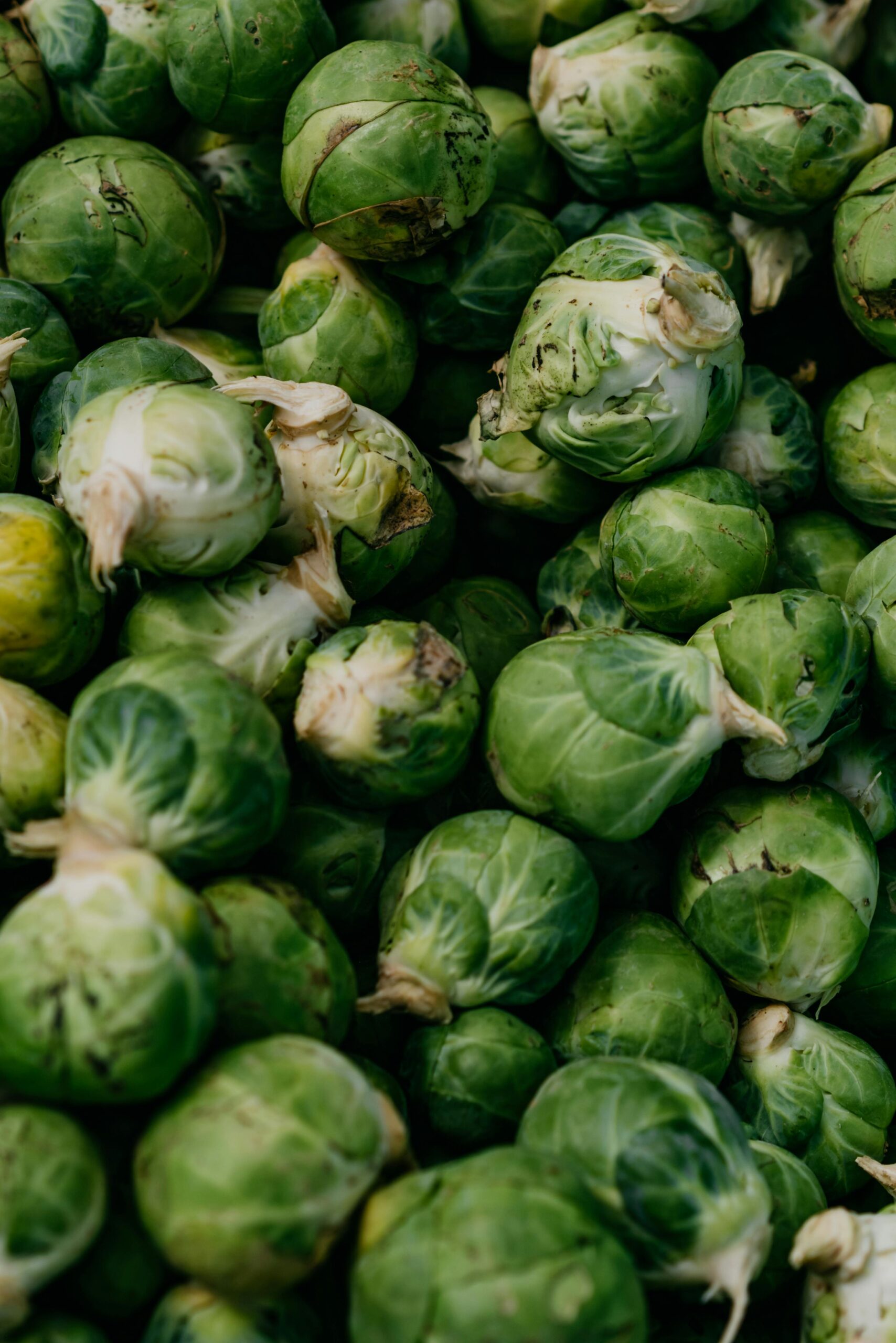 brussels sprouts