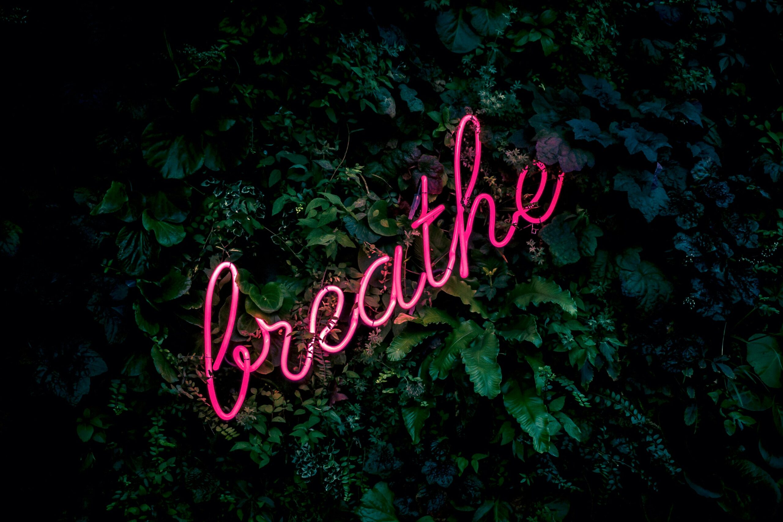 ultimate guide to breathwork sign