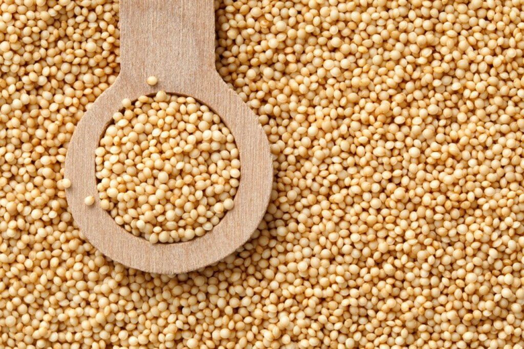 amaranth grain in spoon most nutrient-dense grains