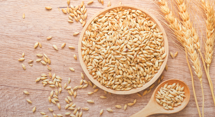 healthiest grains barley in bowl