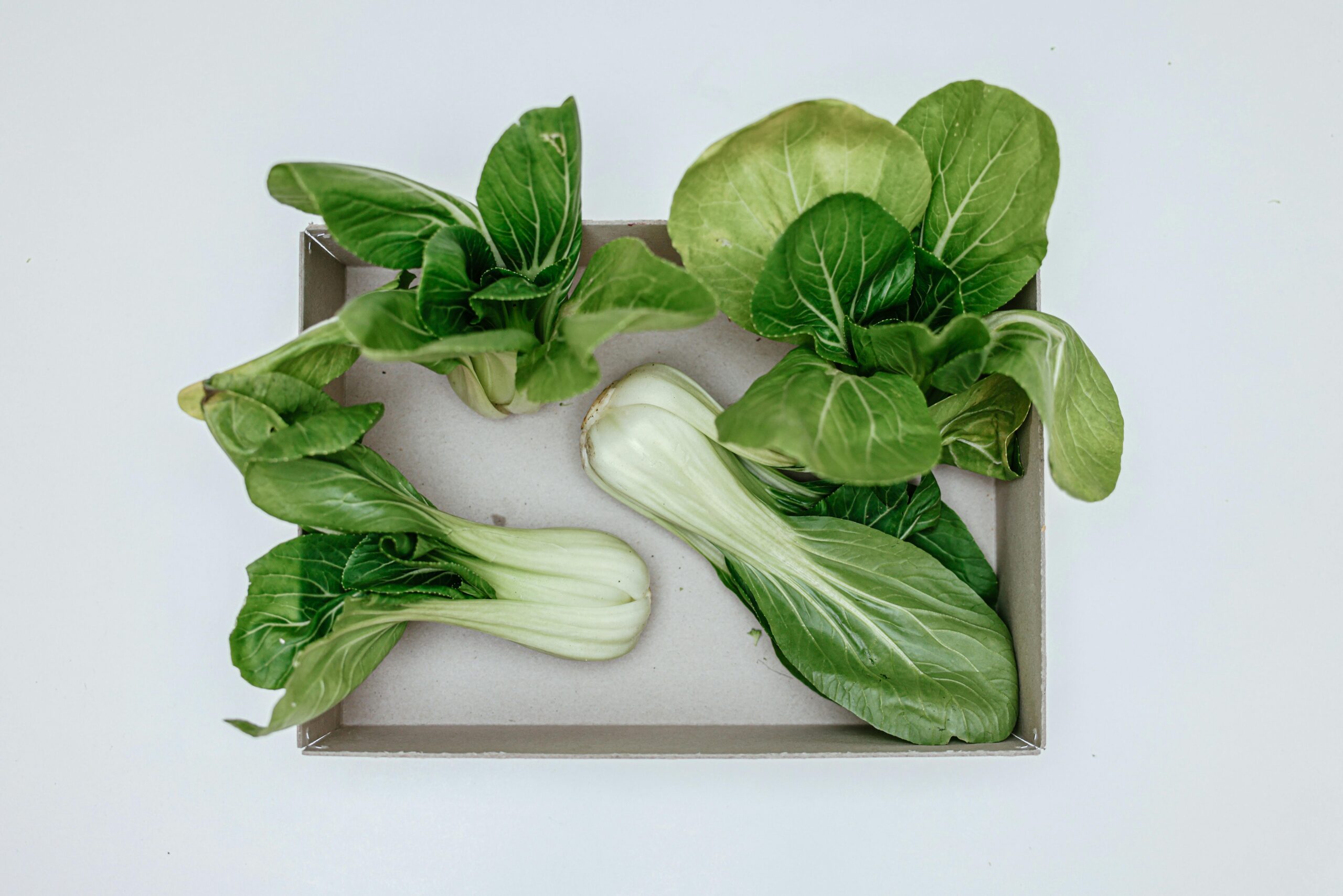 bok choy in box most nutrient-dense greens