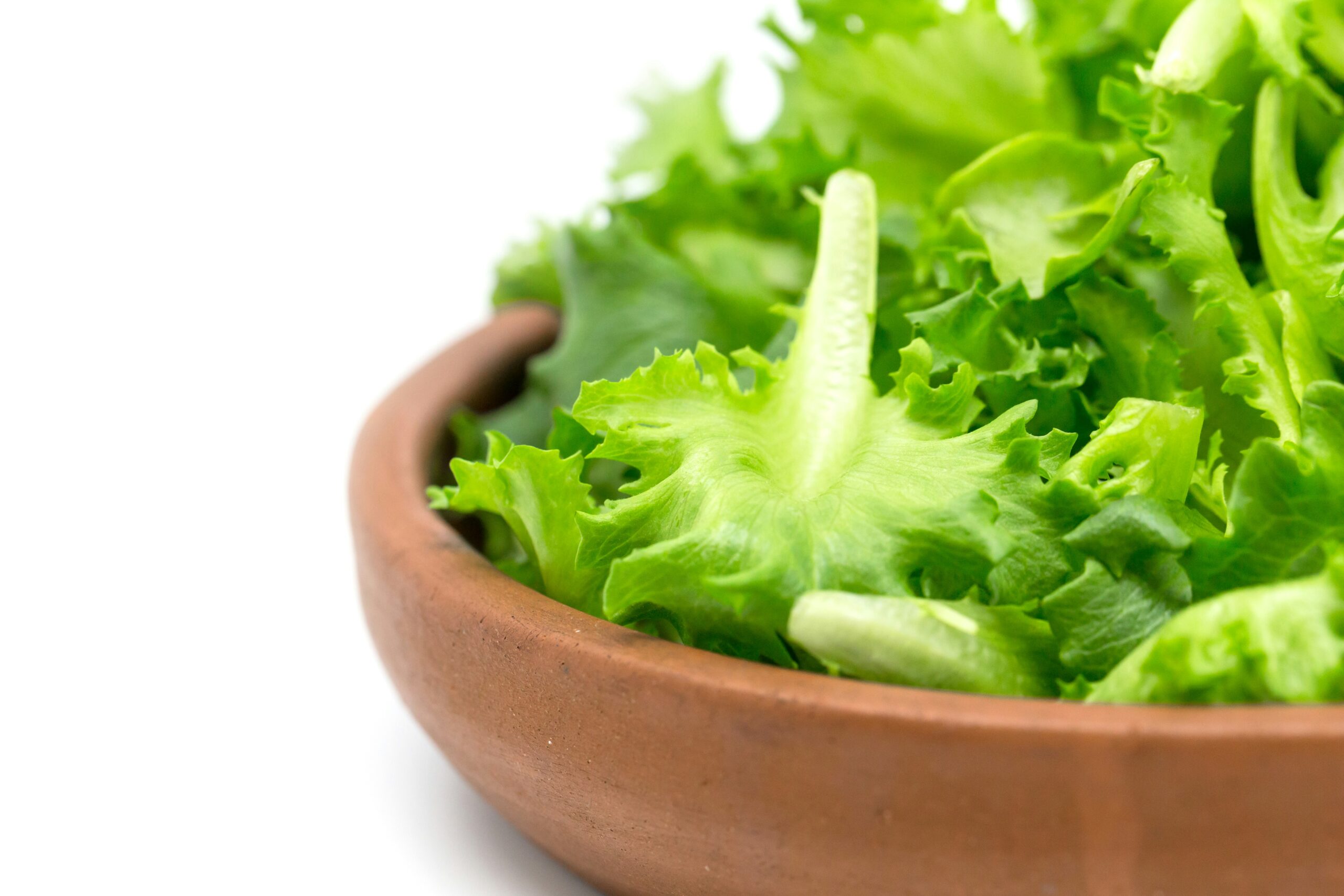 romaine lettuce