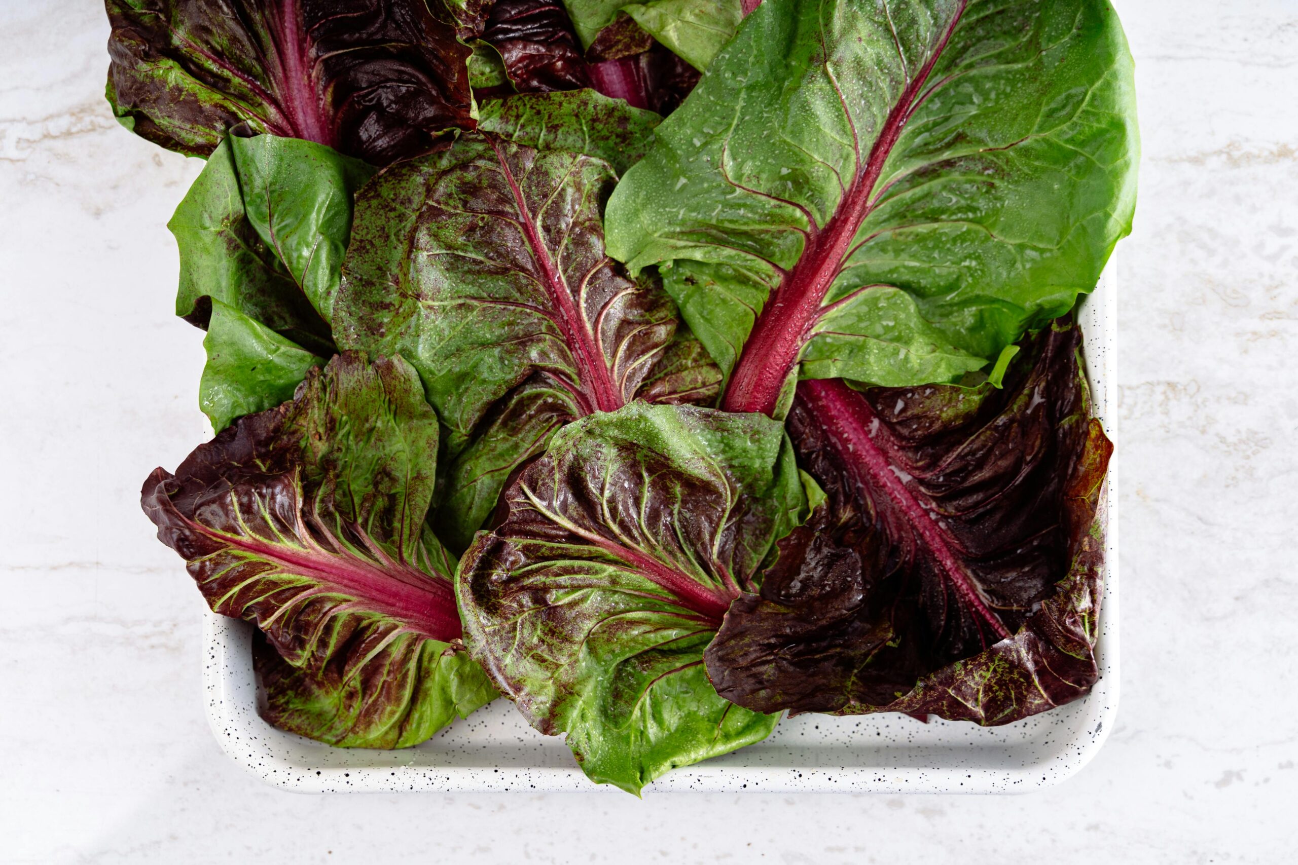 swiss chard most nutrient-dense greens