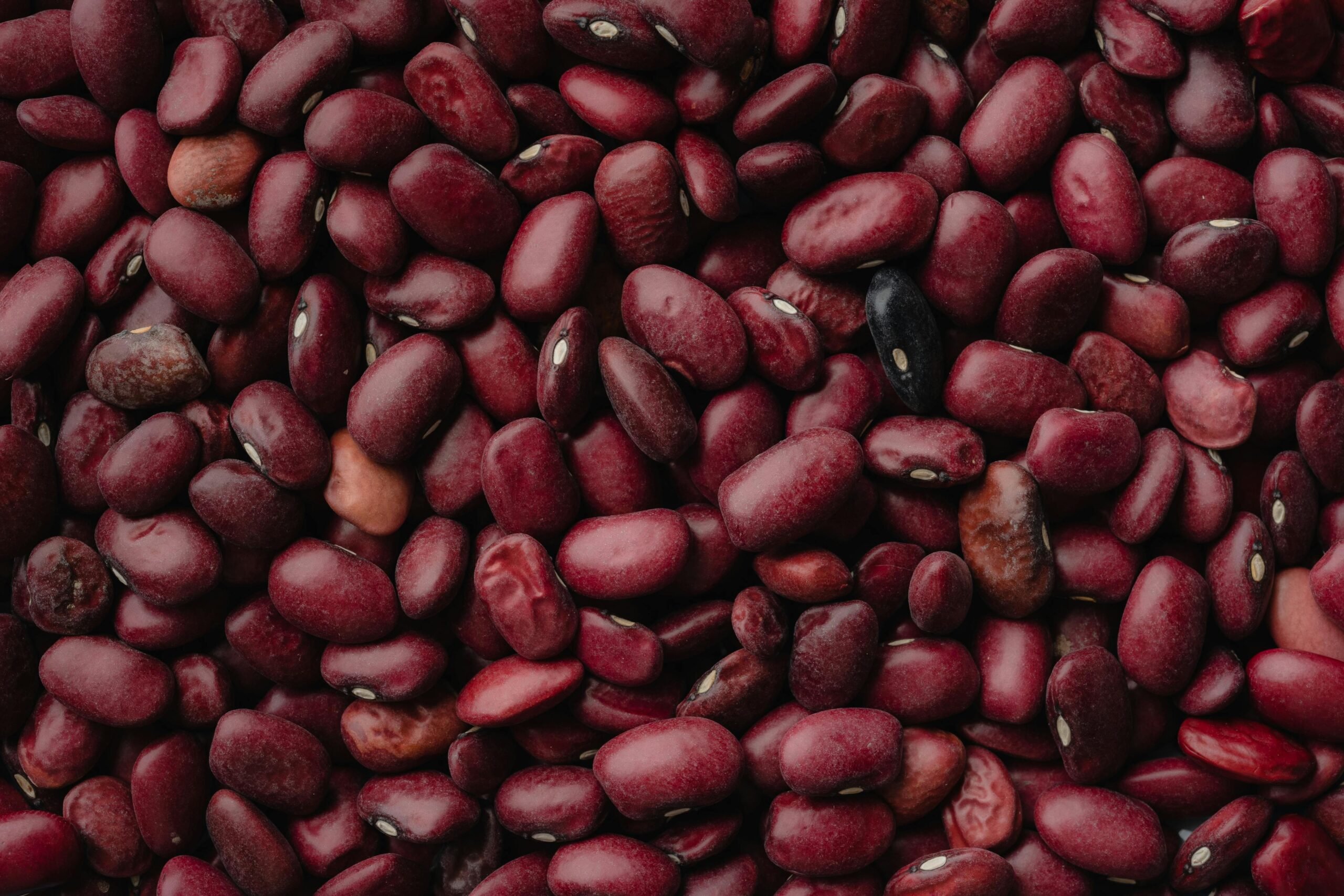 legumes kidney beans