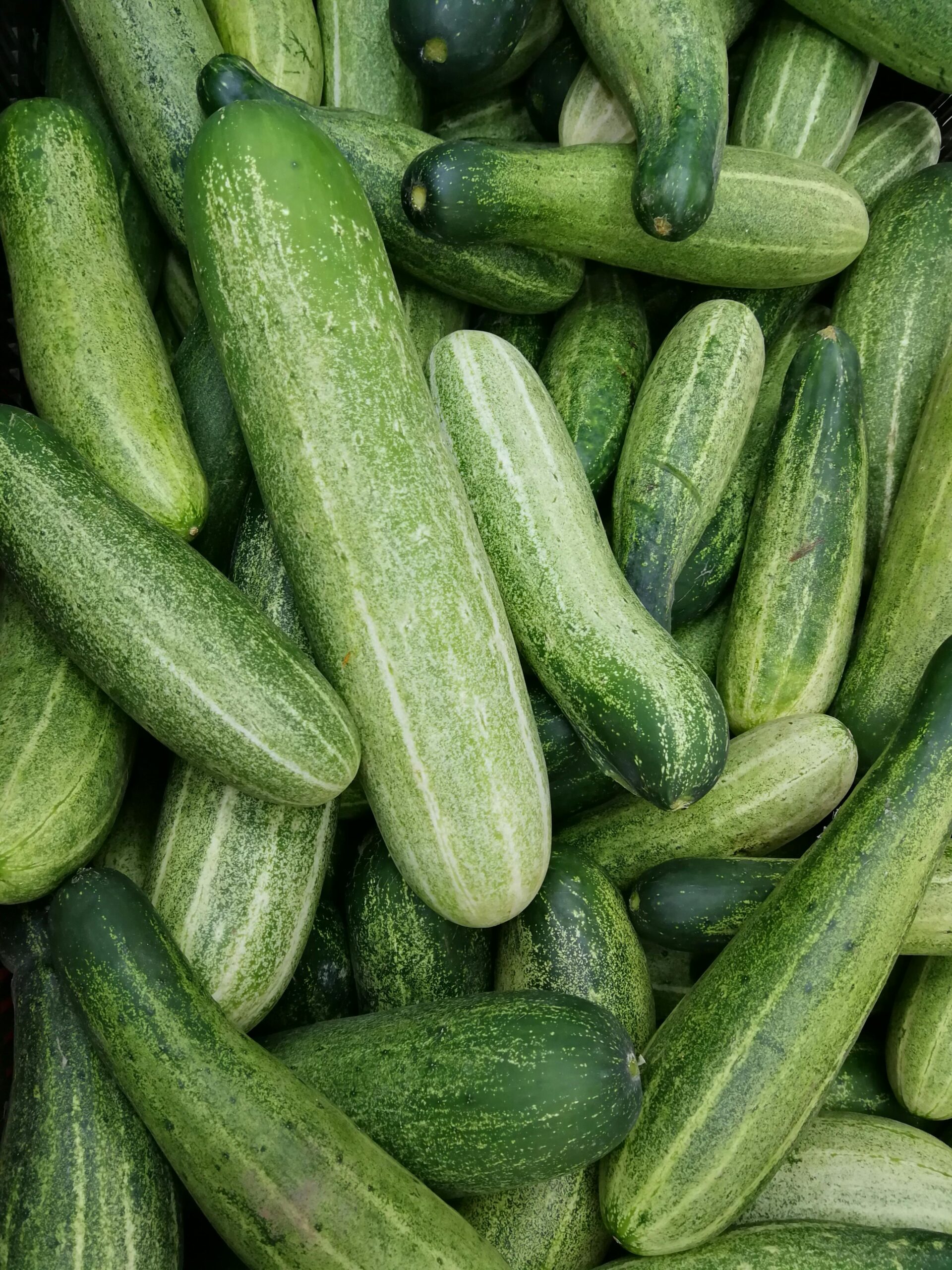 most hydrating foods pile of cucumbers