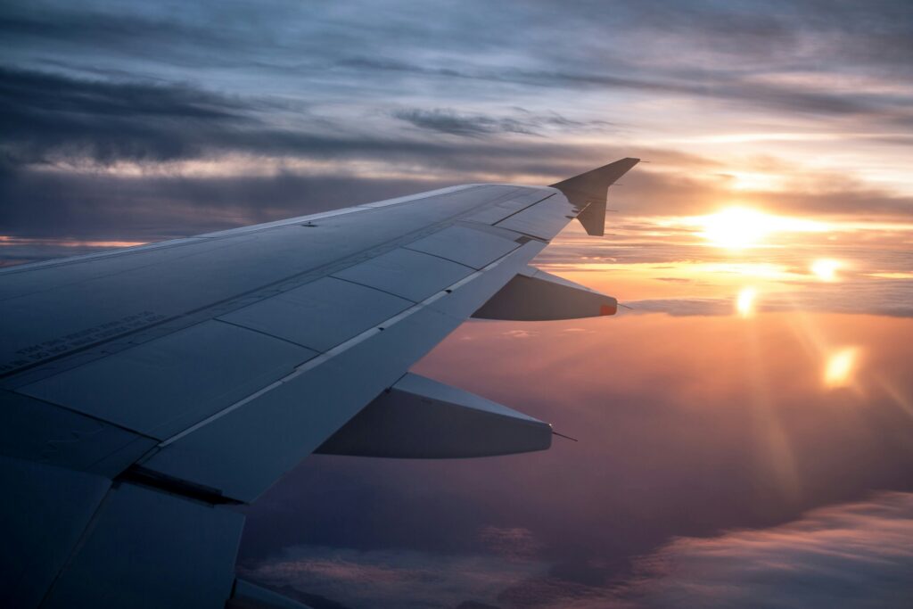 airplane wing plant-based traveling