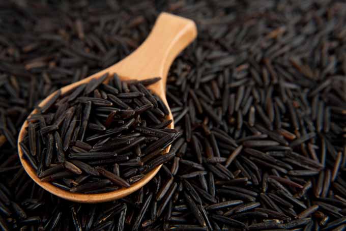 wild rice most nutrient-dense grains