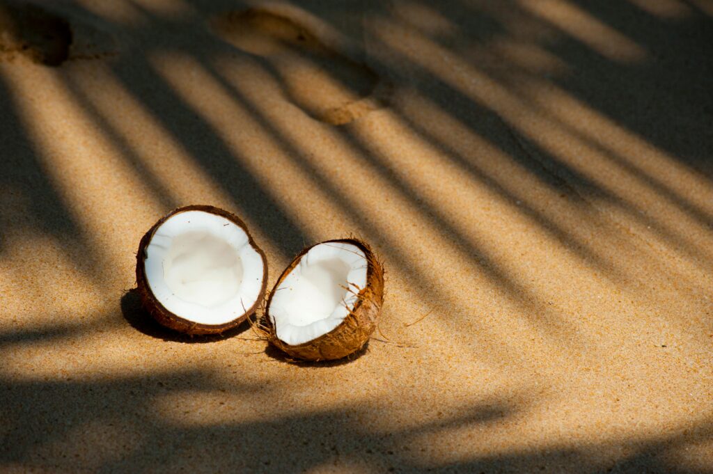 plant-based coconuts