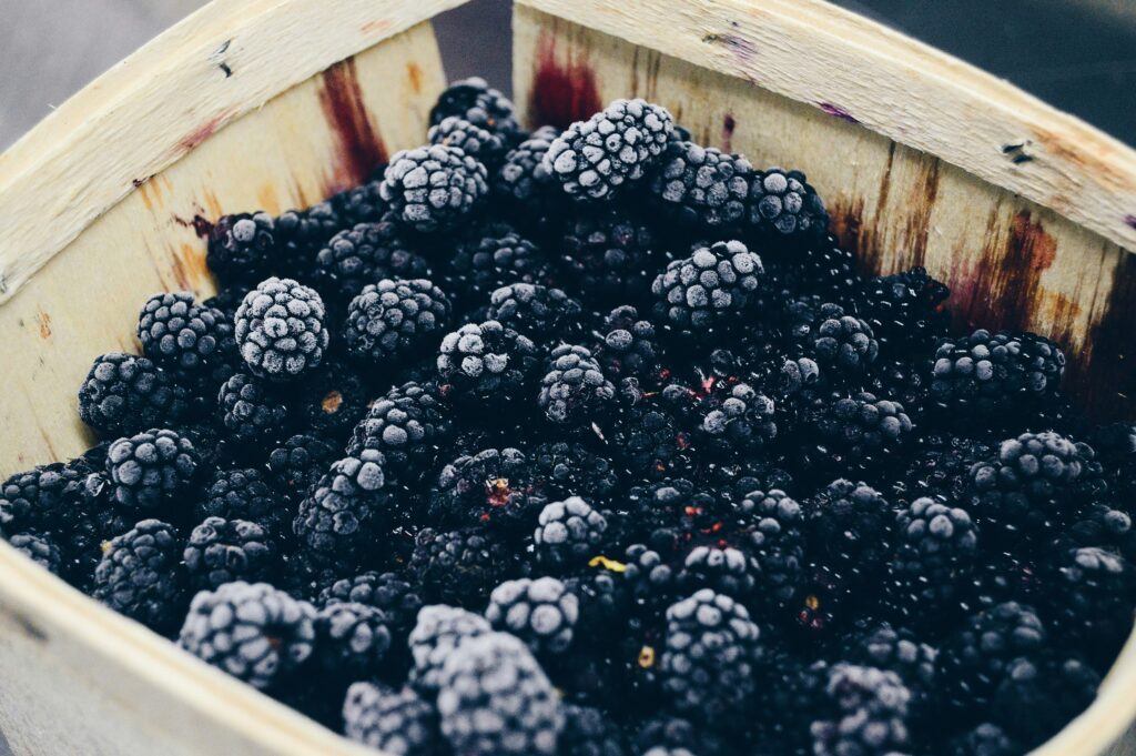 basket of blackberries