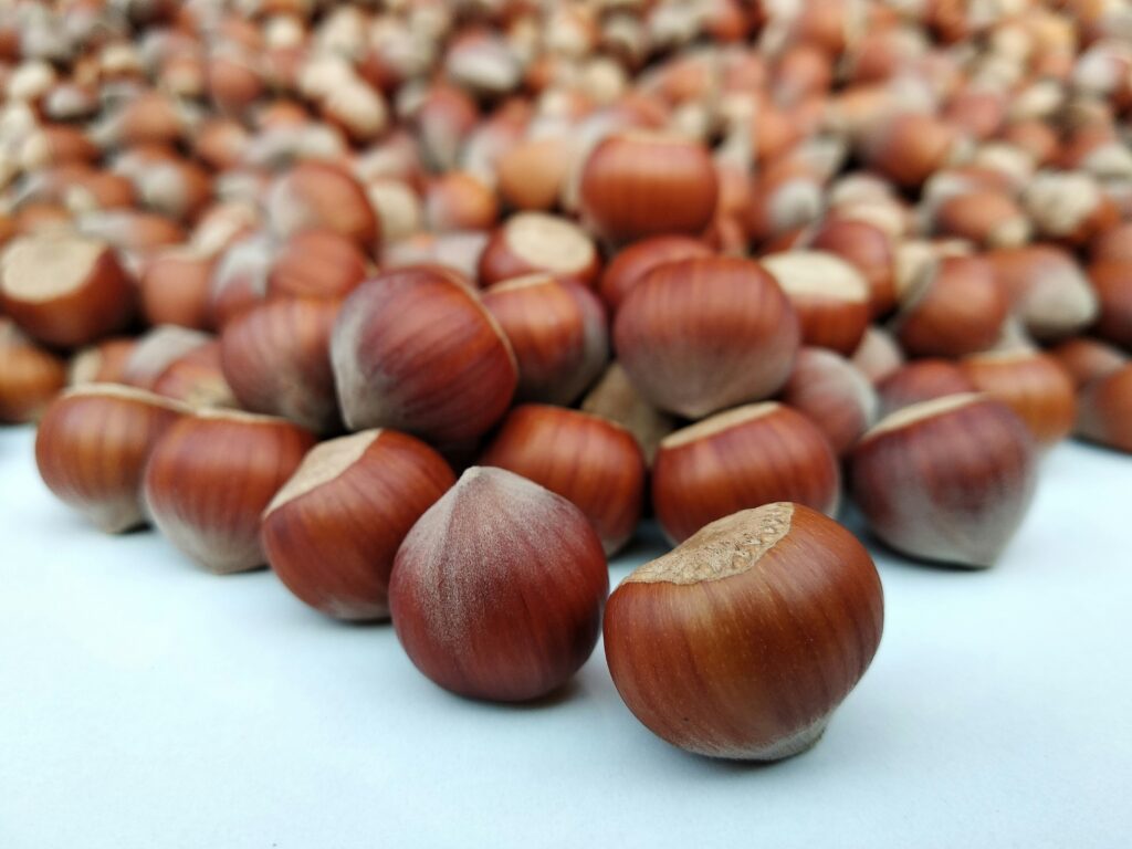 hazelnuts most nutrient dense nuts and seeds