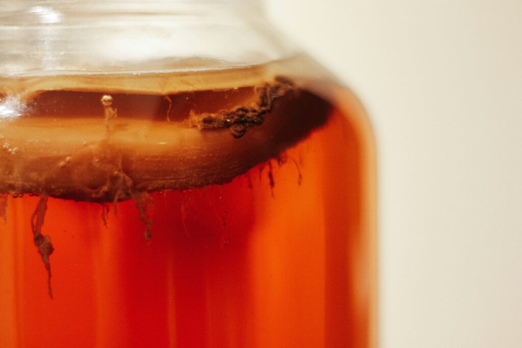gut healing foods kombucha