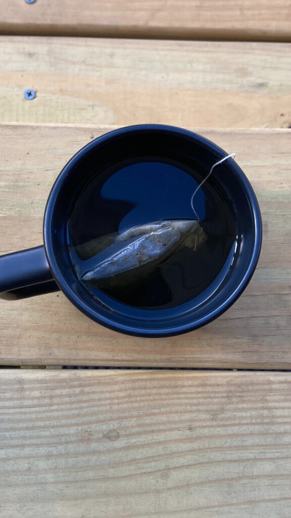 green tea ritual what I eat in a day eating mostly plants